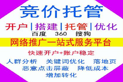 SEM公司案例解析：搜索引擎营销策略与执行